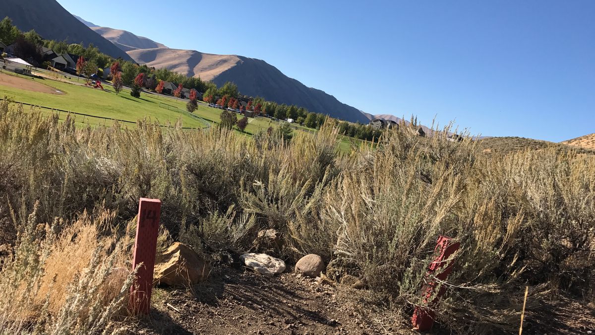 Hole 14