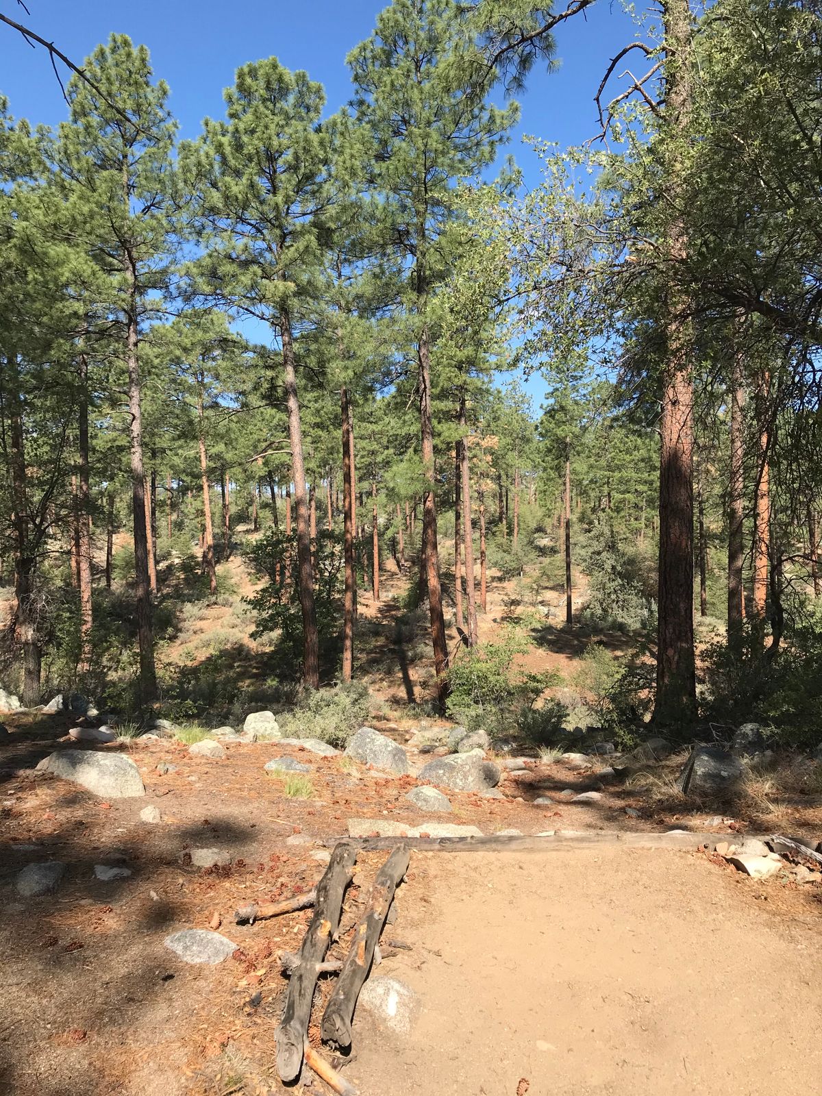 Tee 9