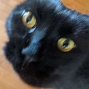 User avatar image