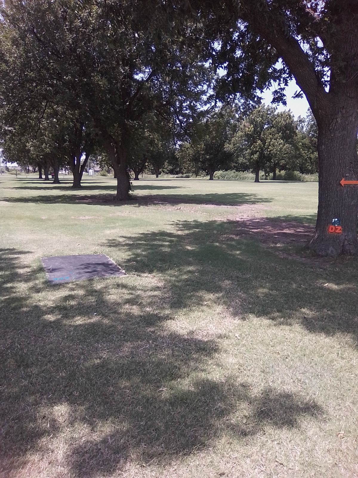 (Blue) Tee #7 ( Drop Zone for the Long Tee)
