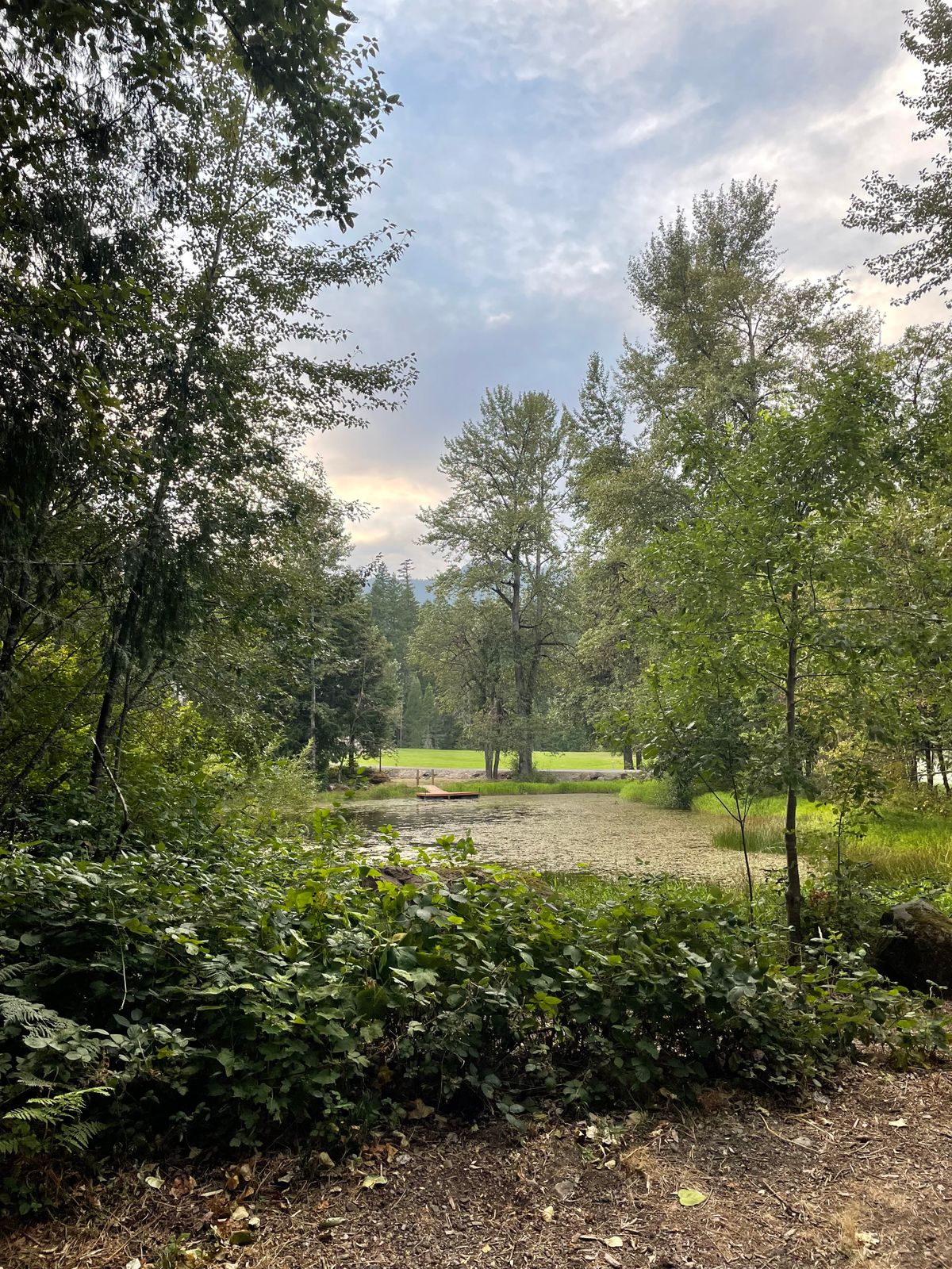 Tee shot #7