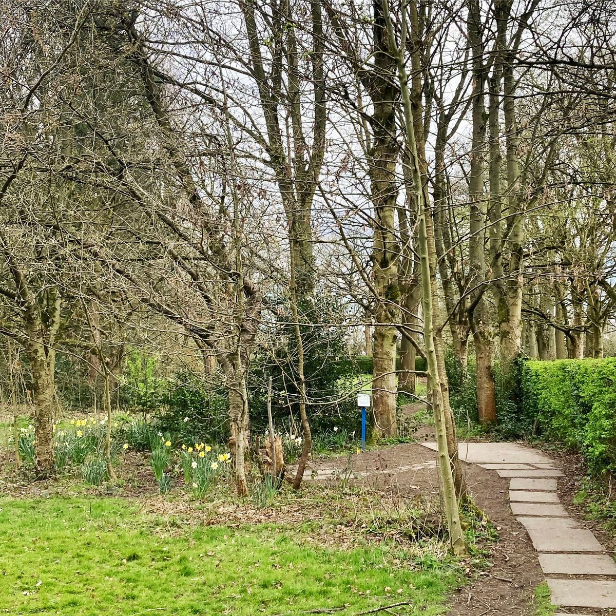 The path to the tricky 10th in early spring.