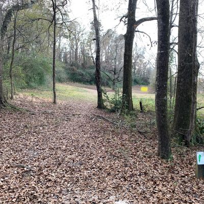 Hole 4, basket highlighted