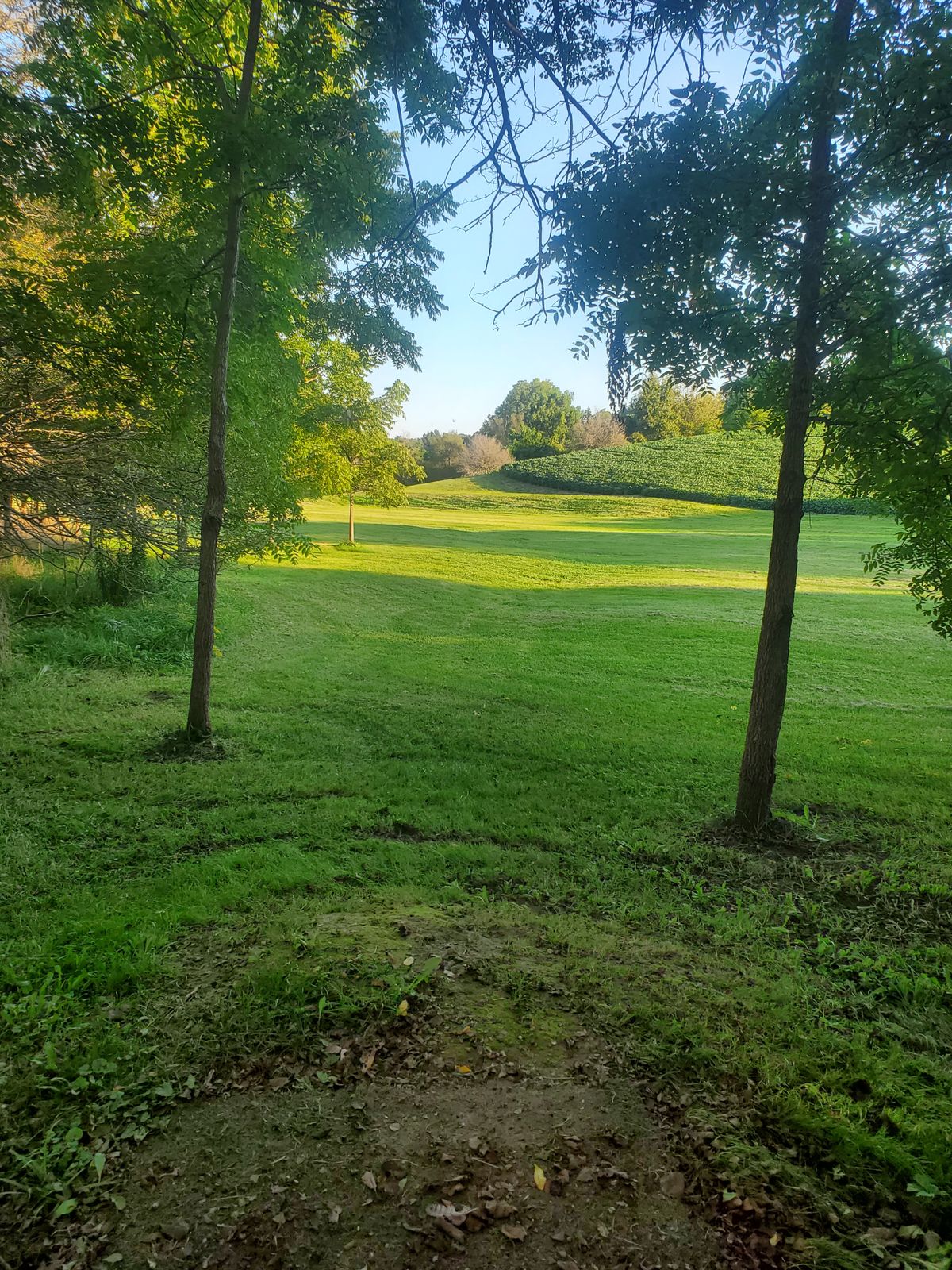 Hole 10 tee