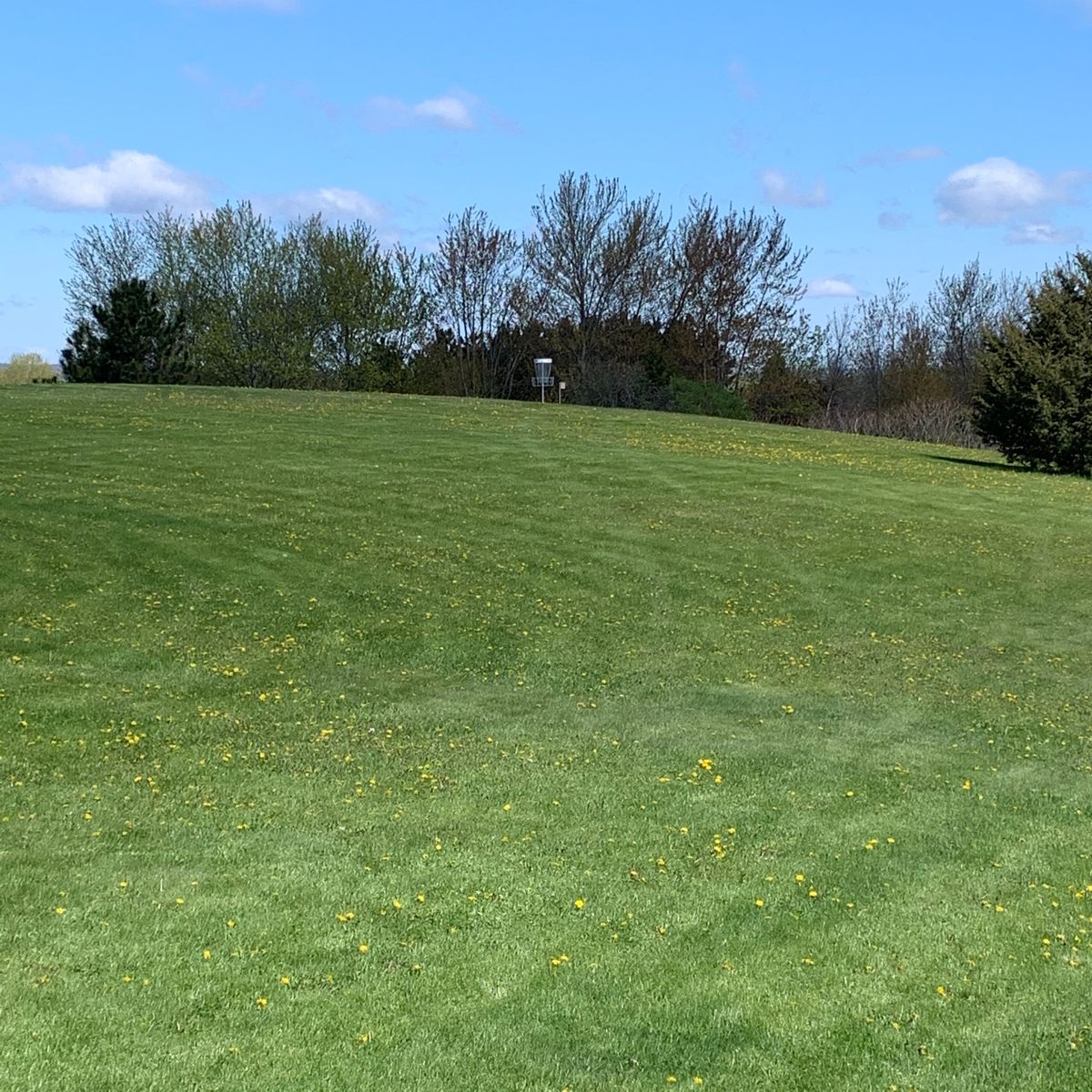Hole #1