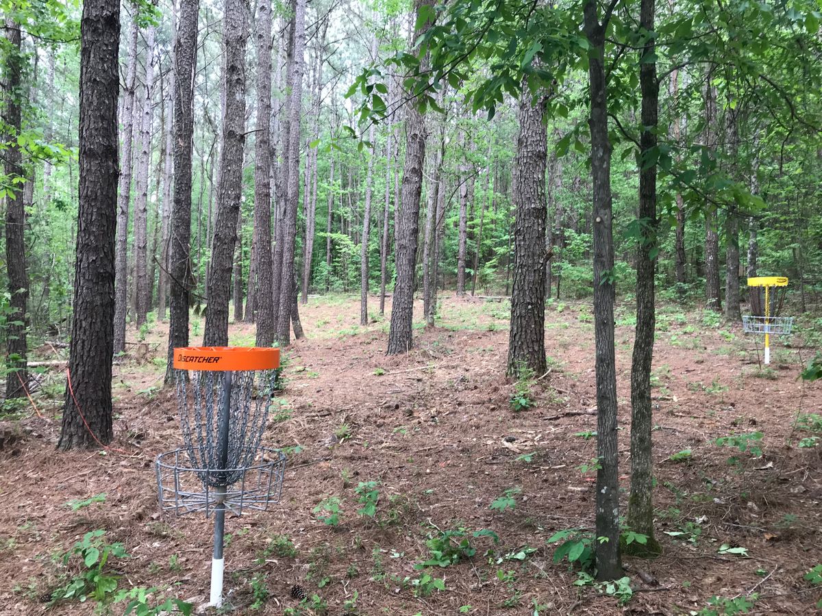 Hole 7 basket to tee
