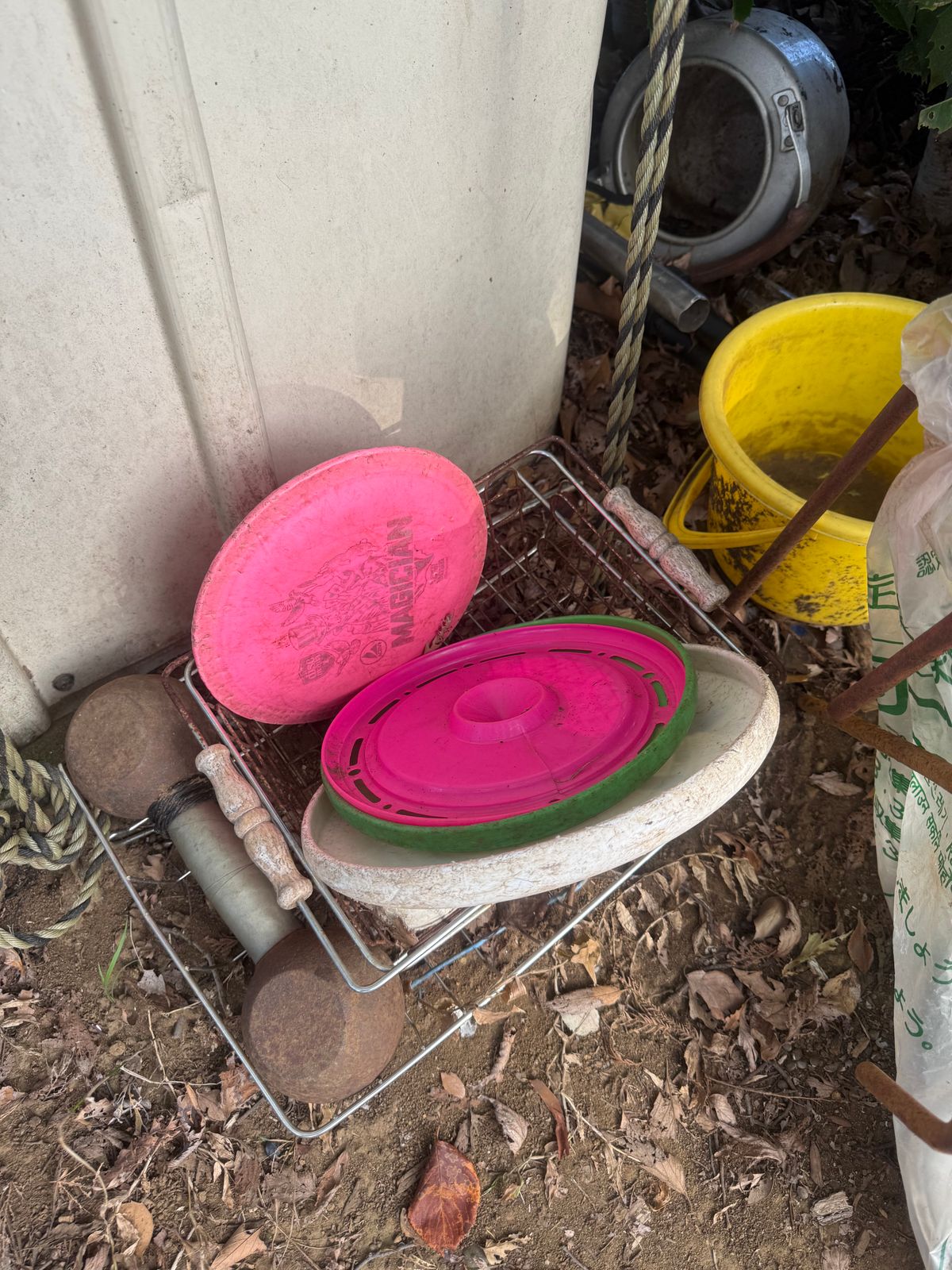 Some discs for locals. Only 1 disc golf disc here - Magician.