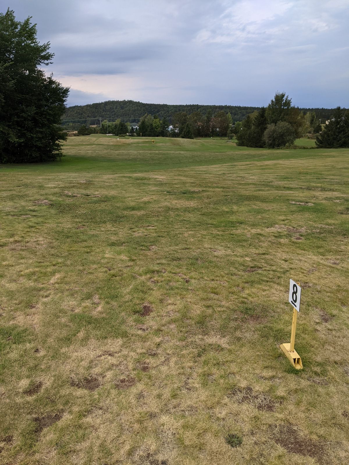 hole 8