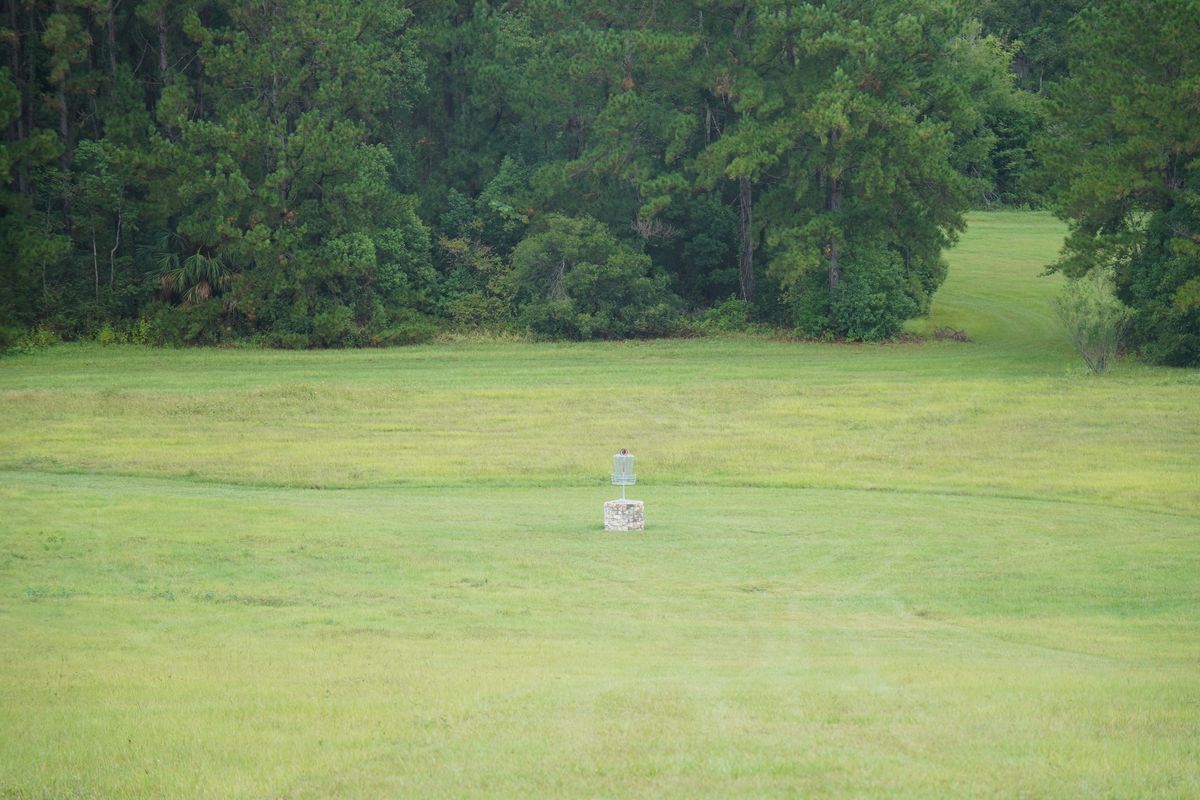 Hole 15’s fairway and basket
