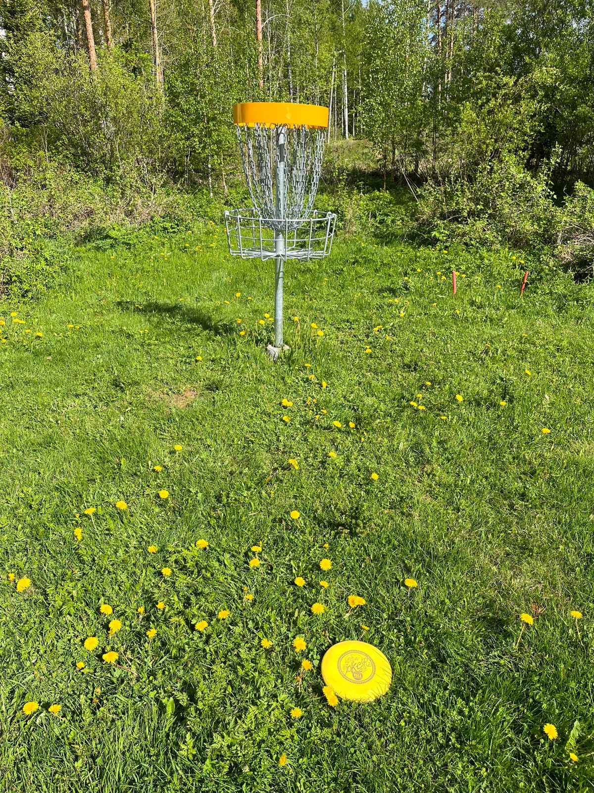 Väylän 9 kori nurmikolla