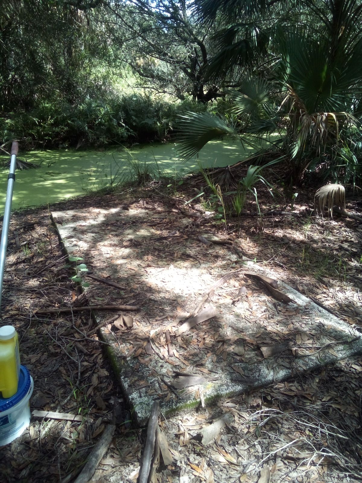 Long tee pad #9 before