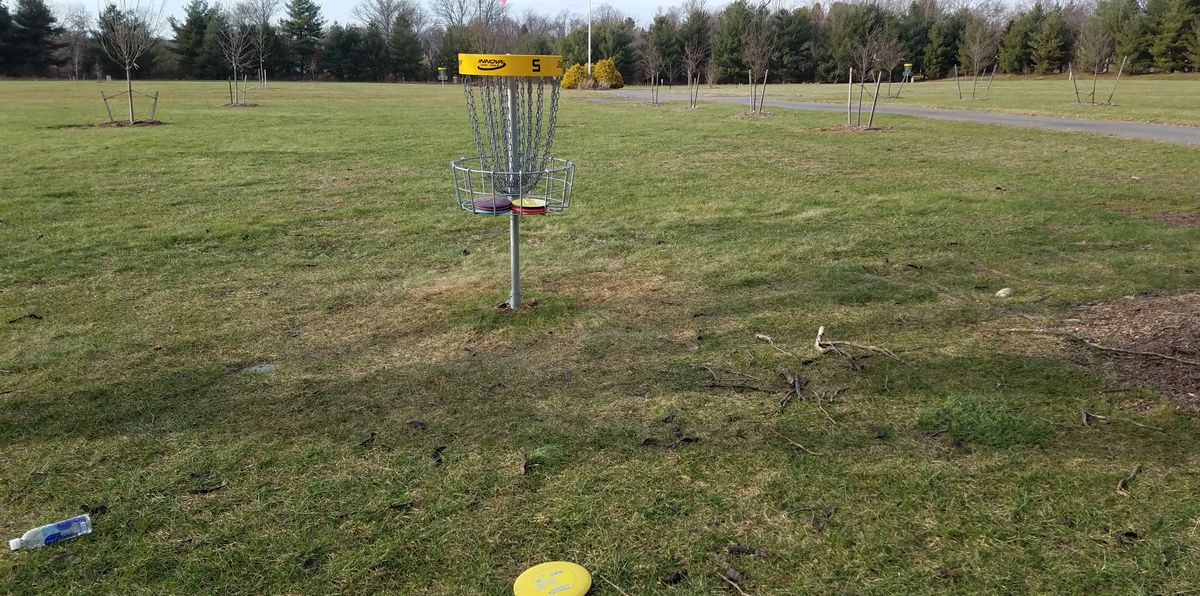 Discs available for anyone to use in course