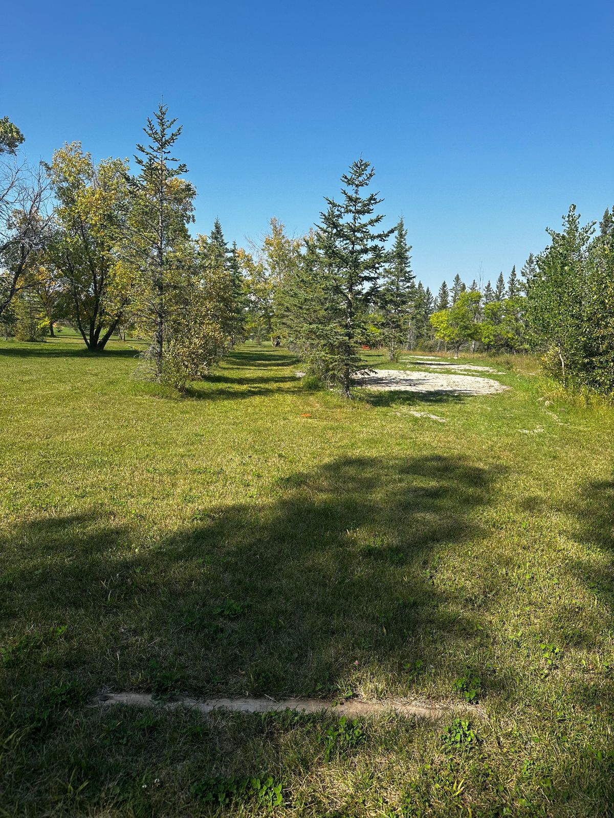 Hole 8