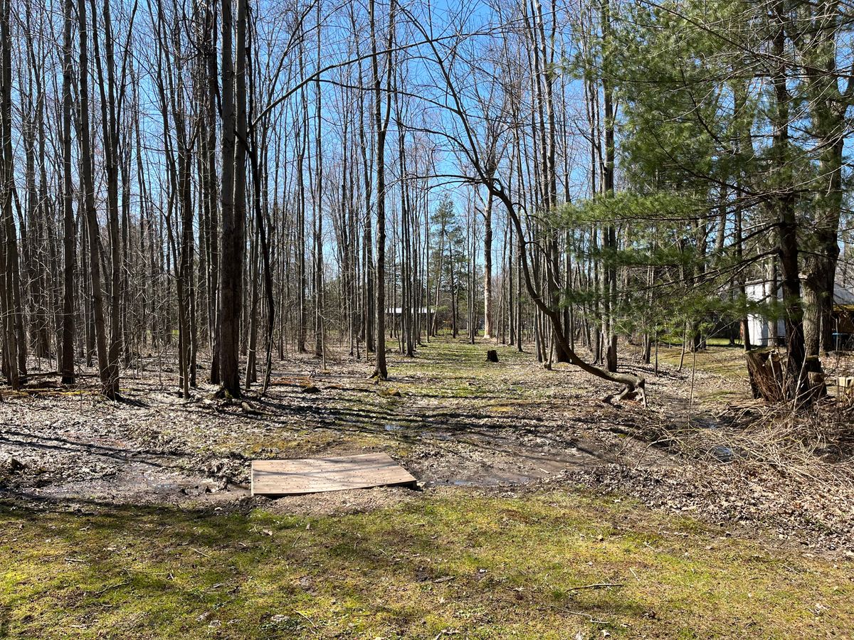 From the tee on 3 in the spring