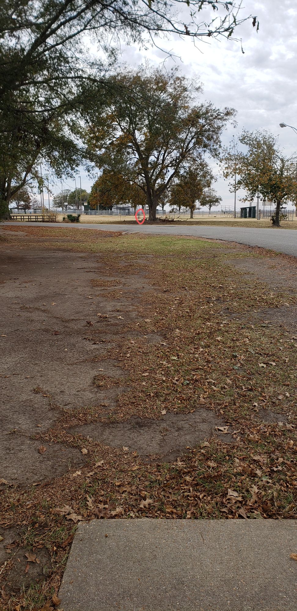 Hole 5