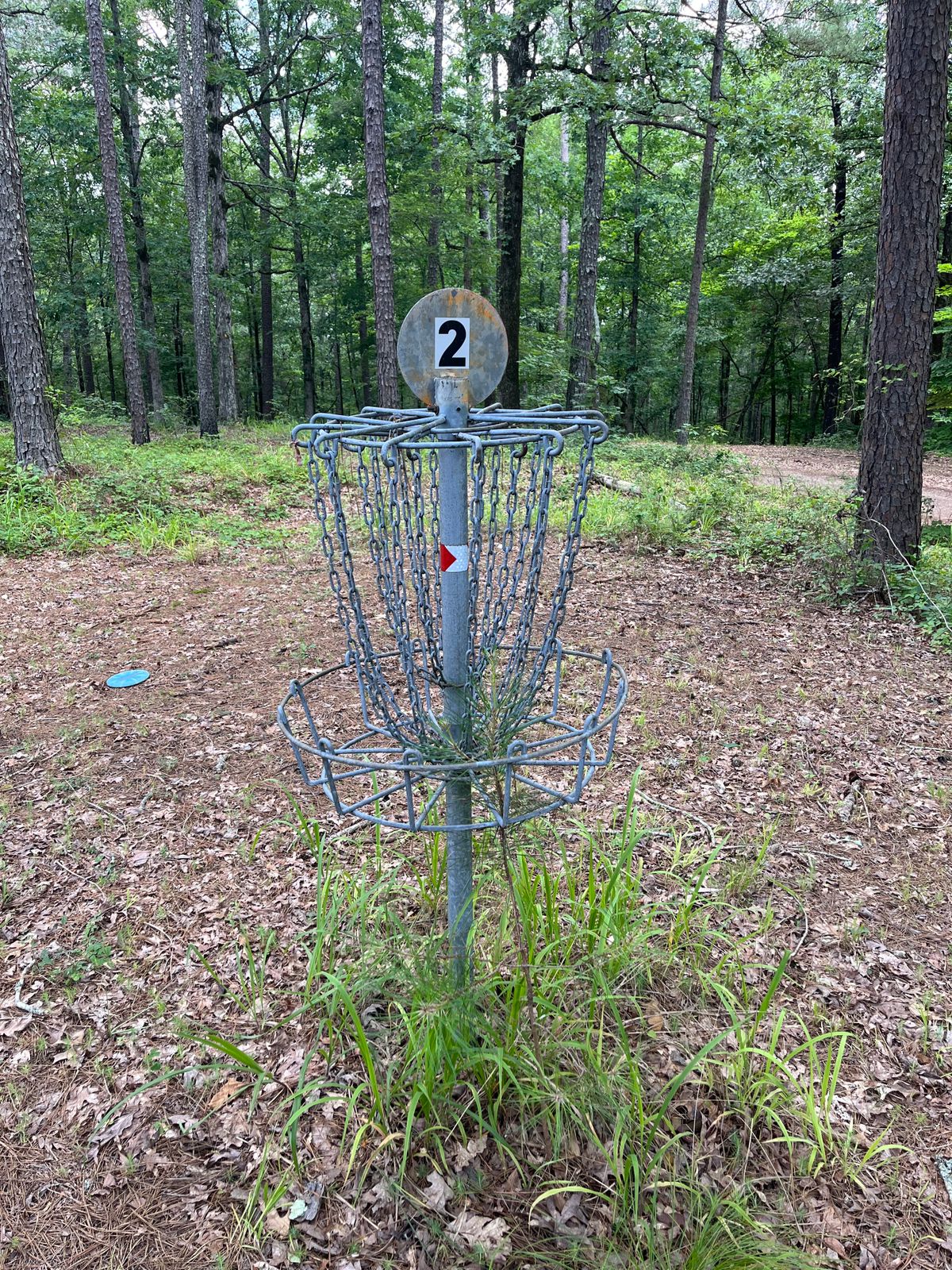 Hole 2 basket