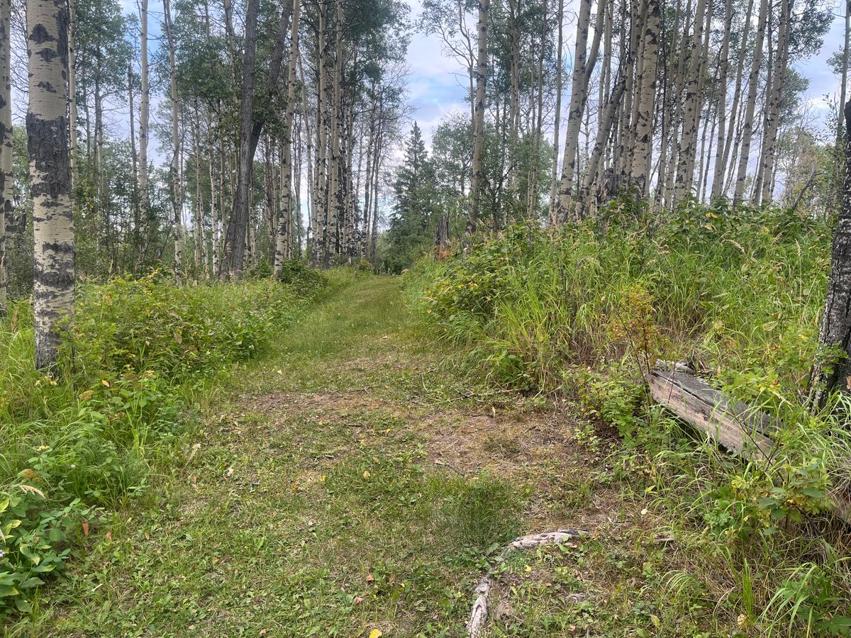 9th Tee