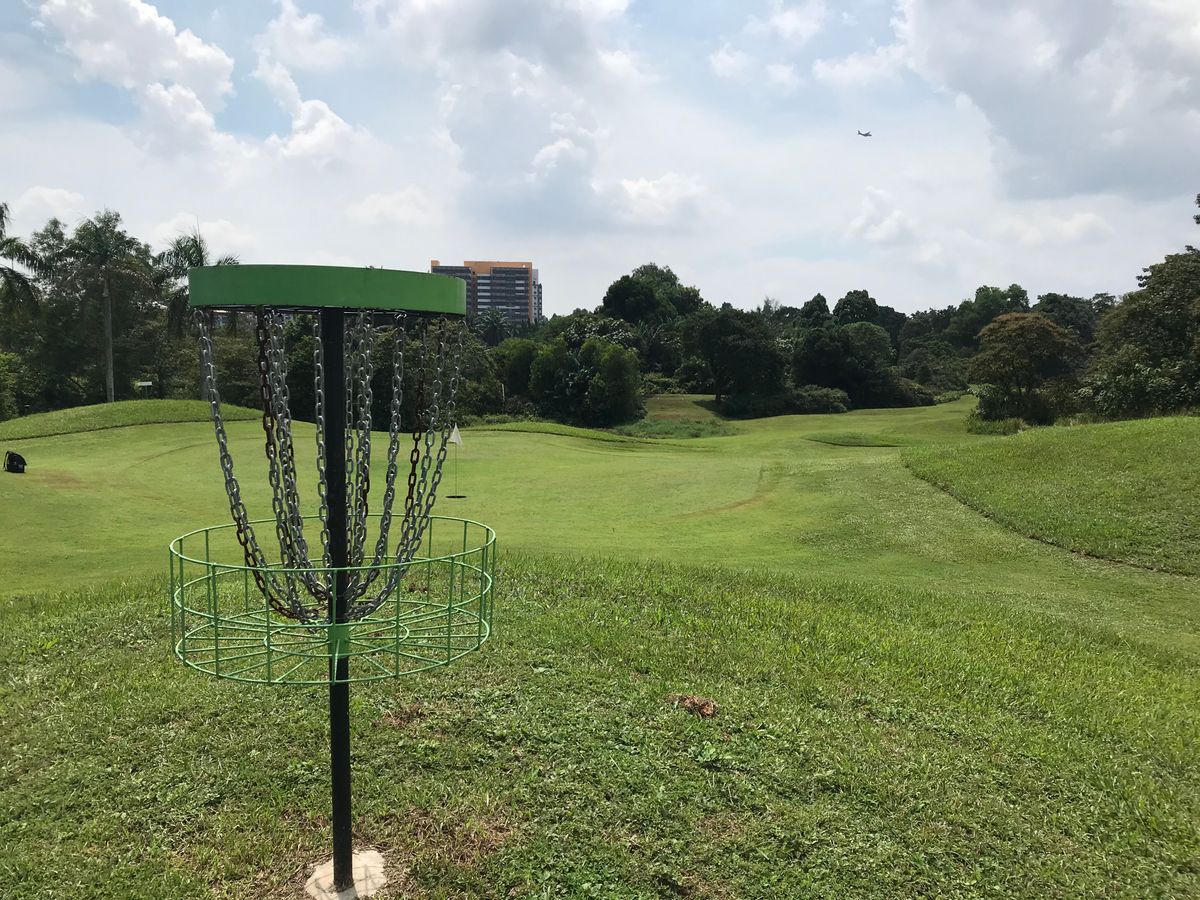 Hole 3 basket looking back at the tee