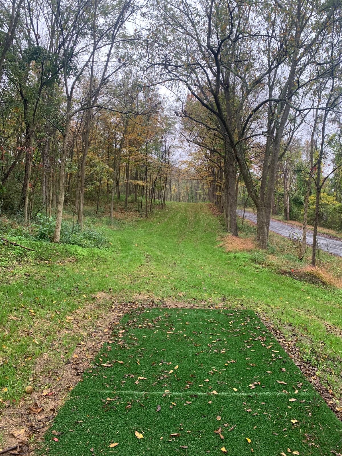Hole 1 Gold Tee