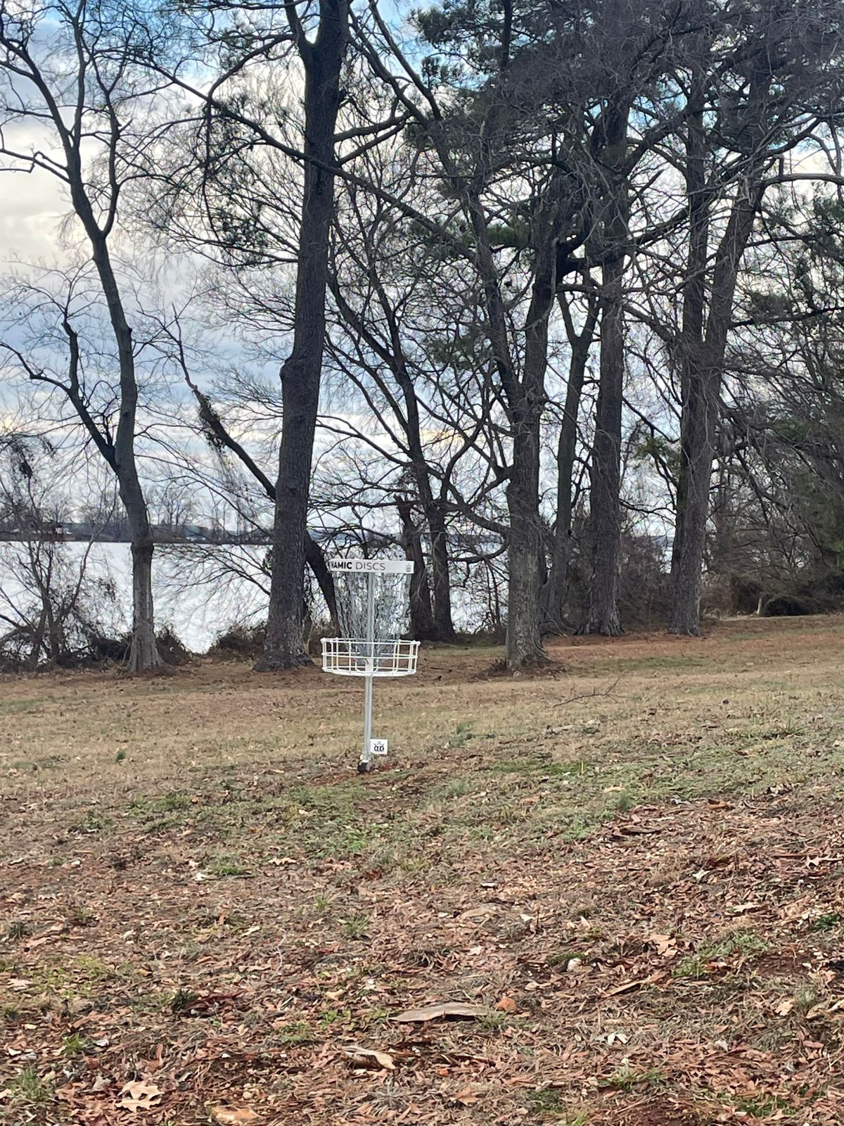 Hole 4 basket