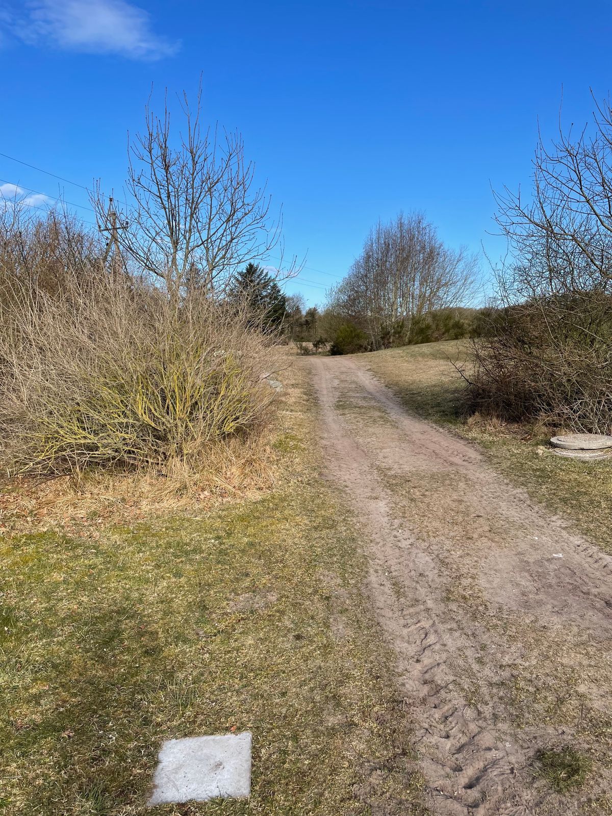 Teeshot Hole 5