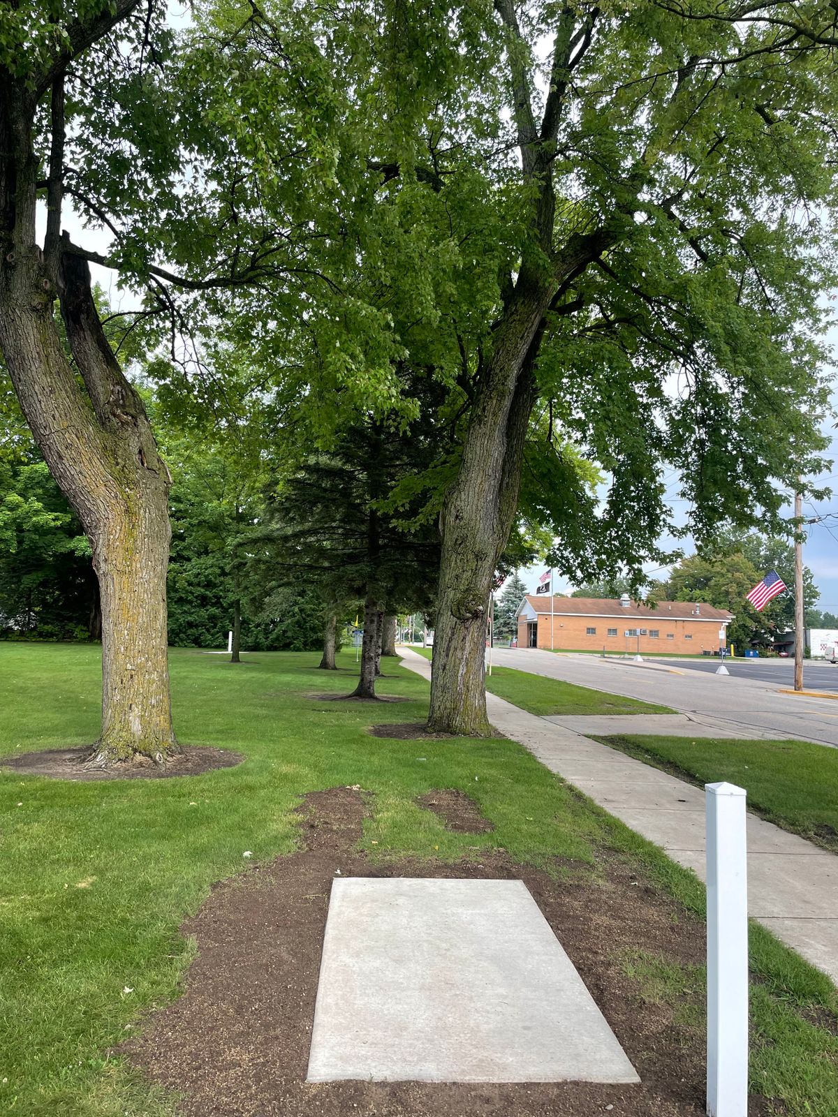 Hole 7 tee pad