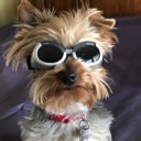 User avatar image