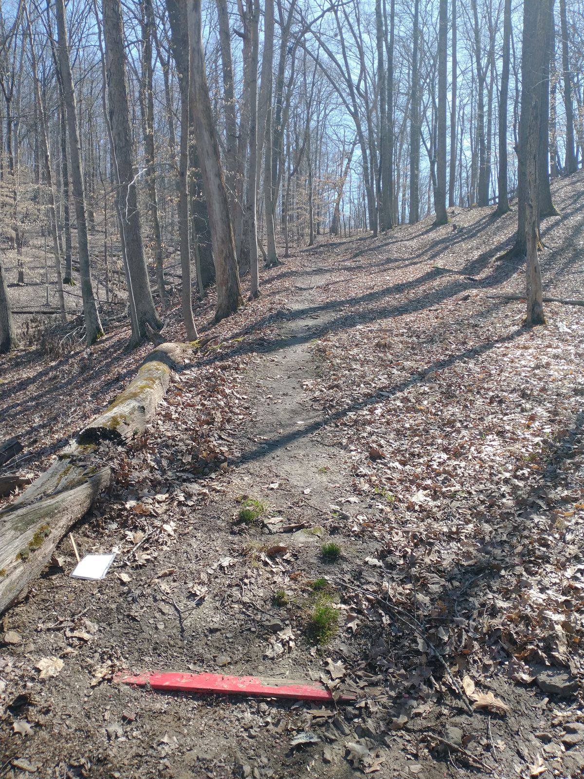 Hole 4, Red Tee