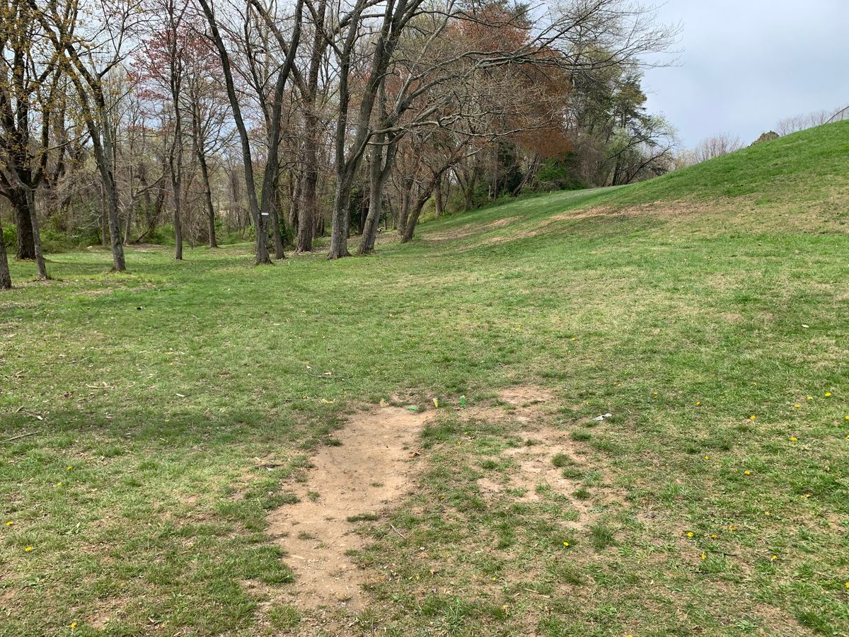 Hole 5 tee