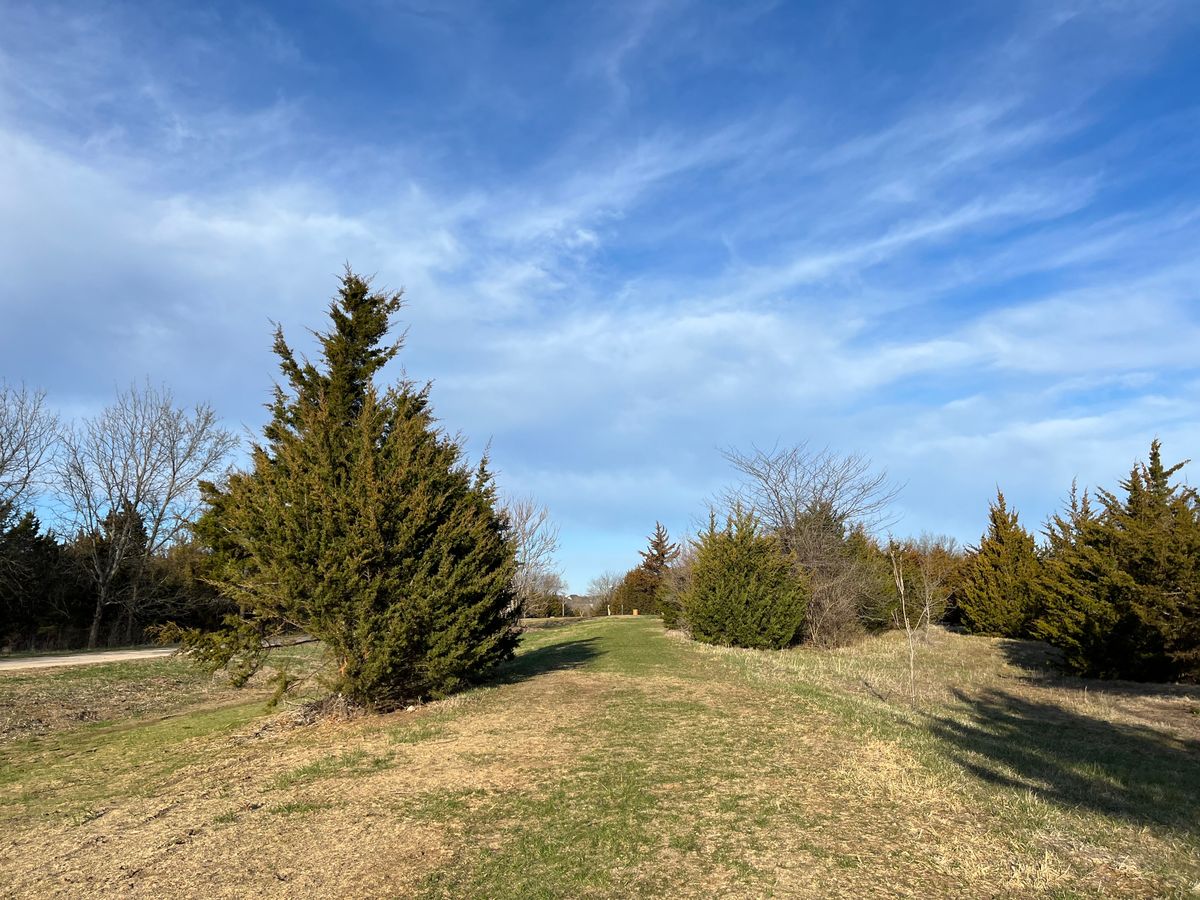 Hole 6 back towards tee
