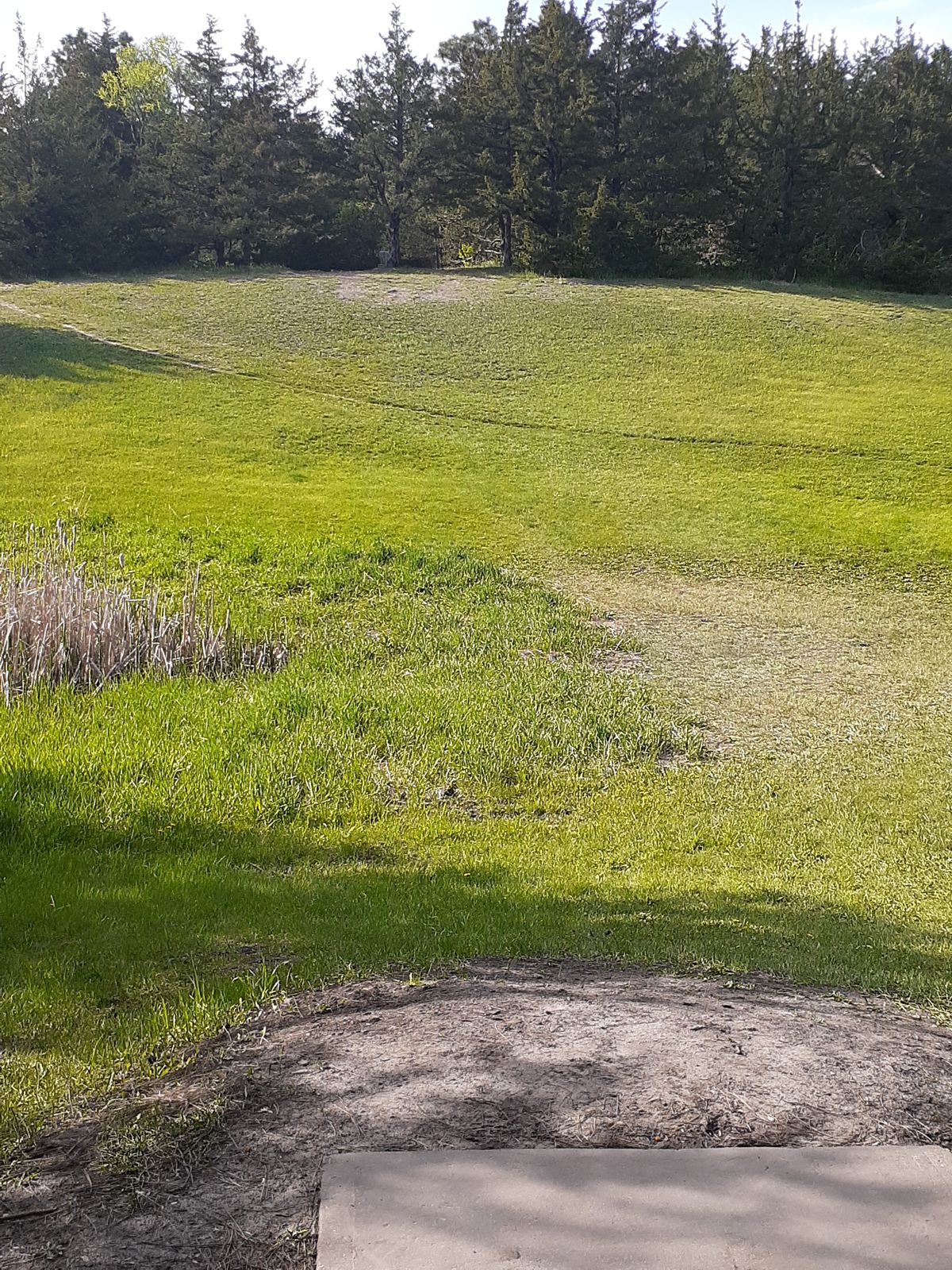 Hole 6