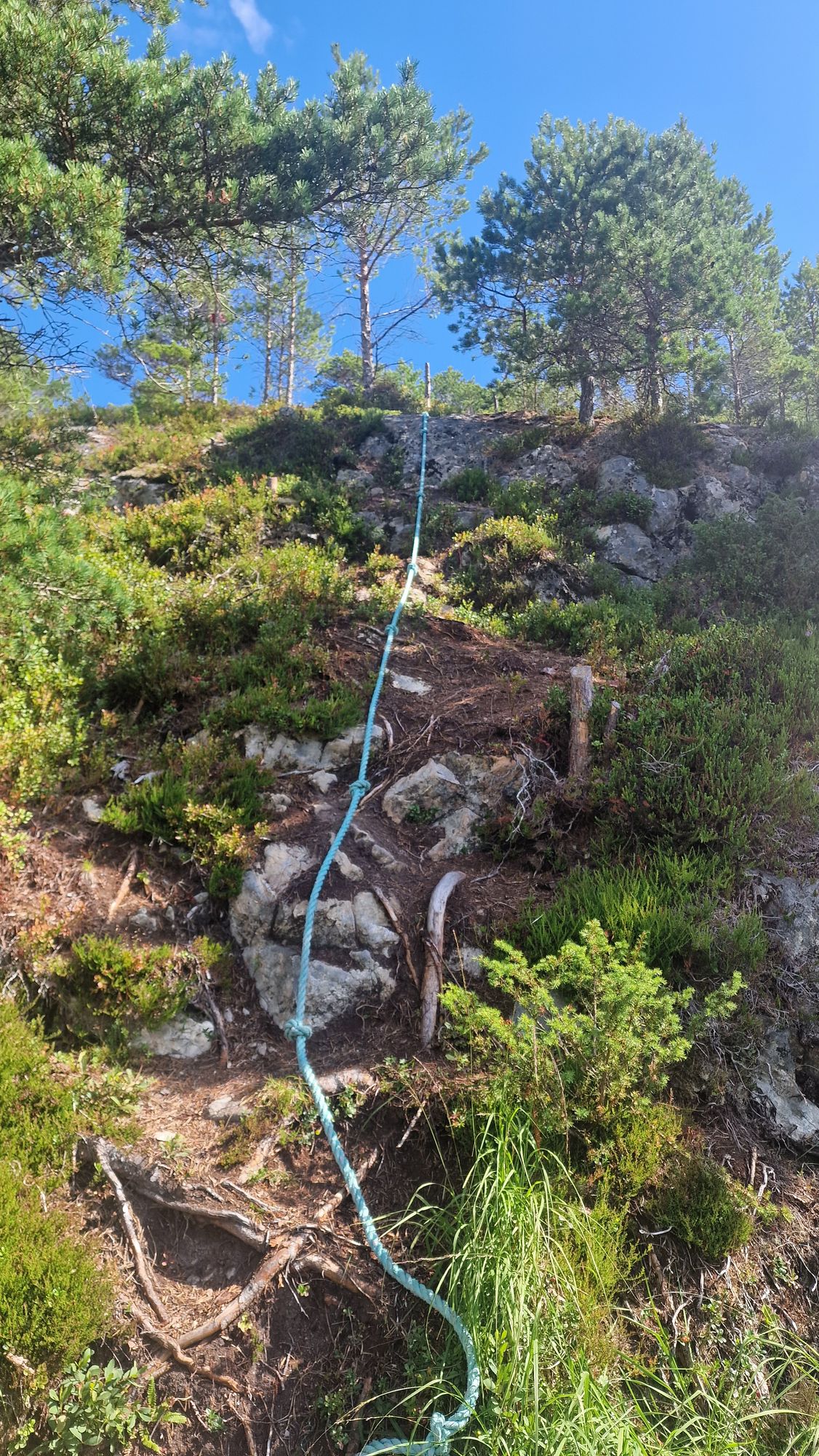 Opp til start