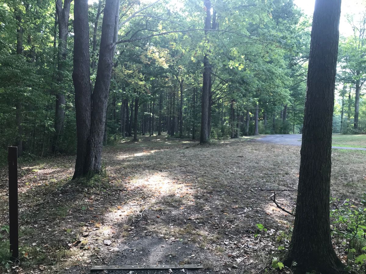 #13 tee/fairway
Par 4