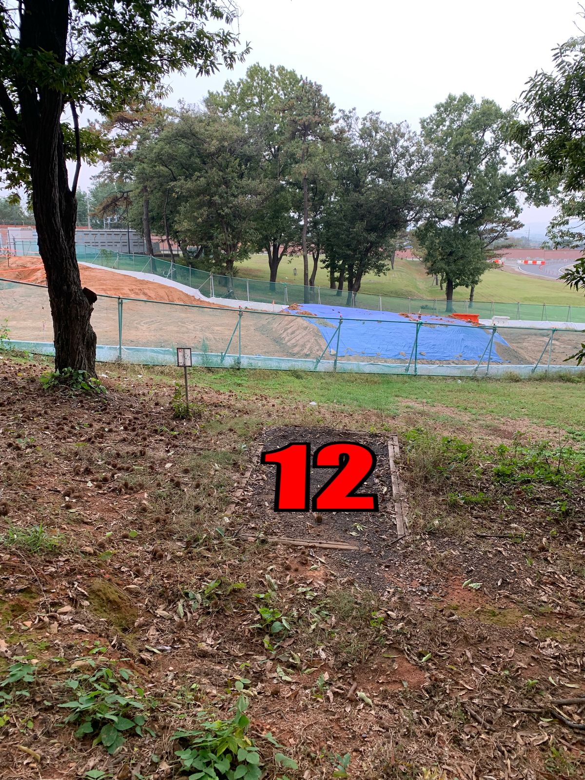 Red 12