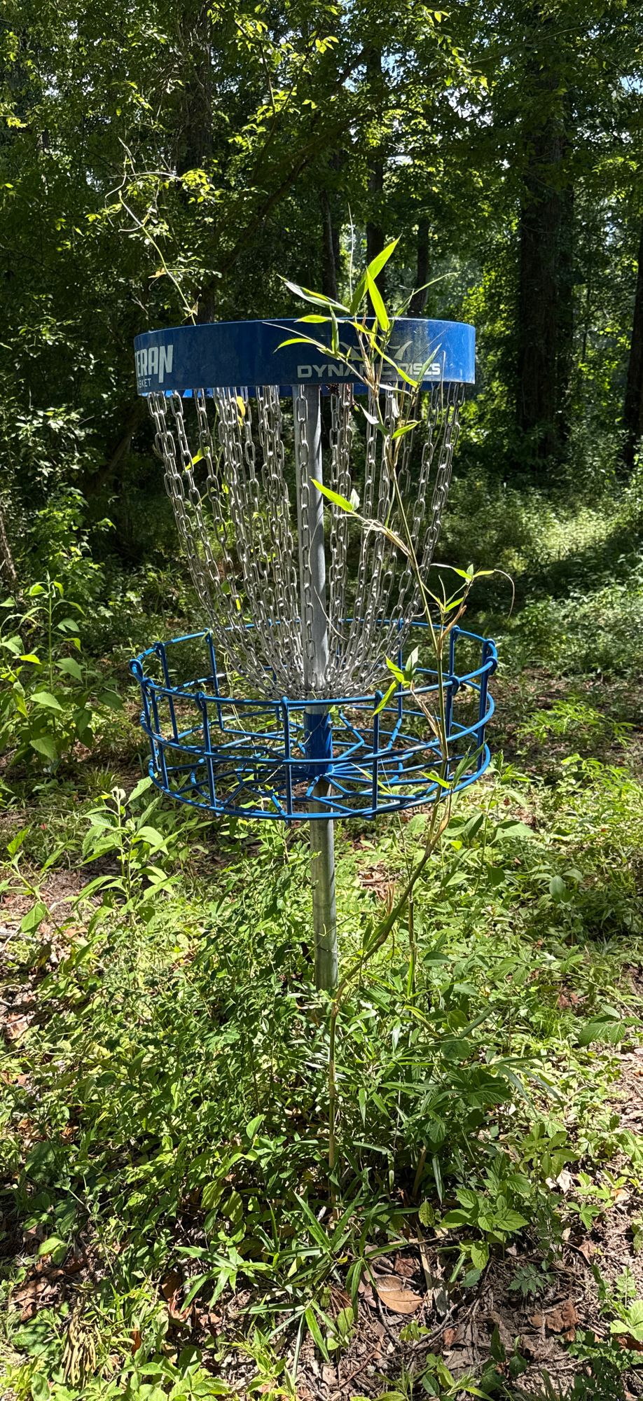 Basket on #8 has vines growing through it. When is the last time someone played this course?