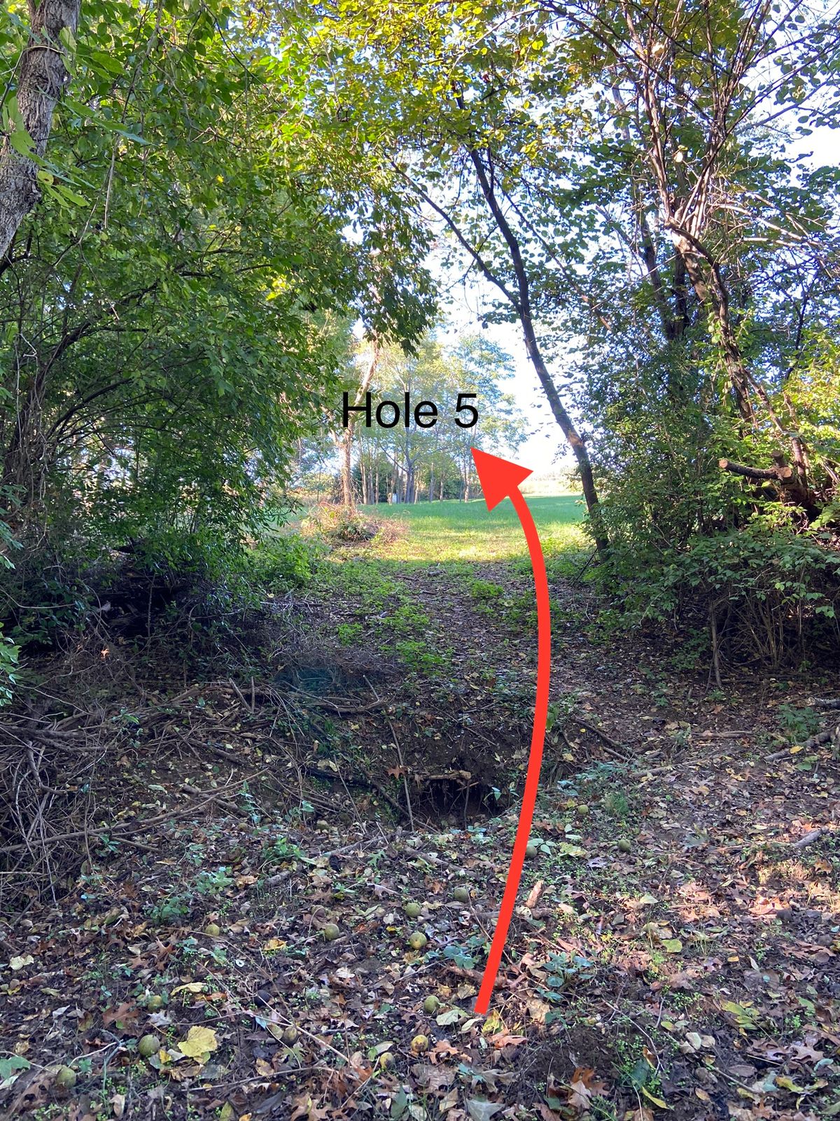Hole 5
