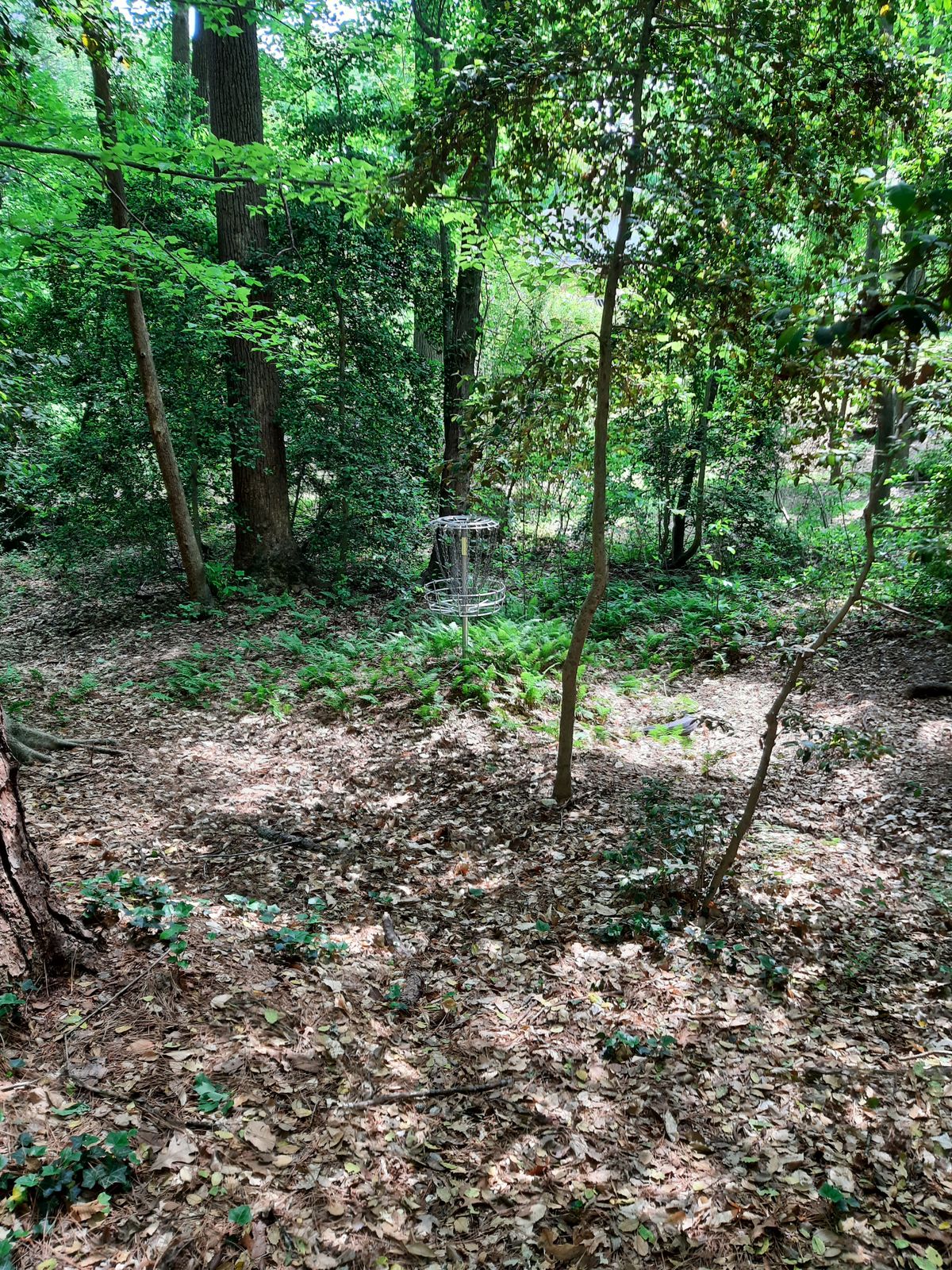Hole 22 Green B Pin