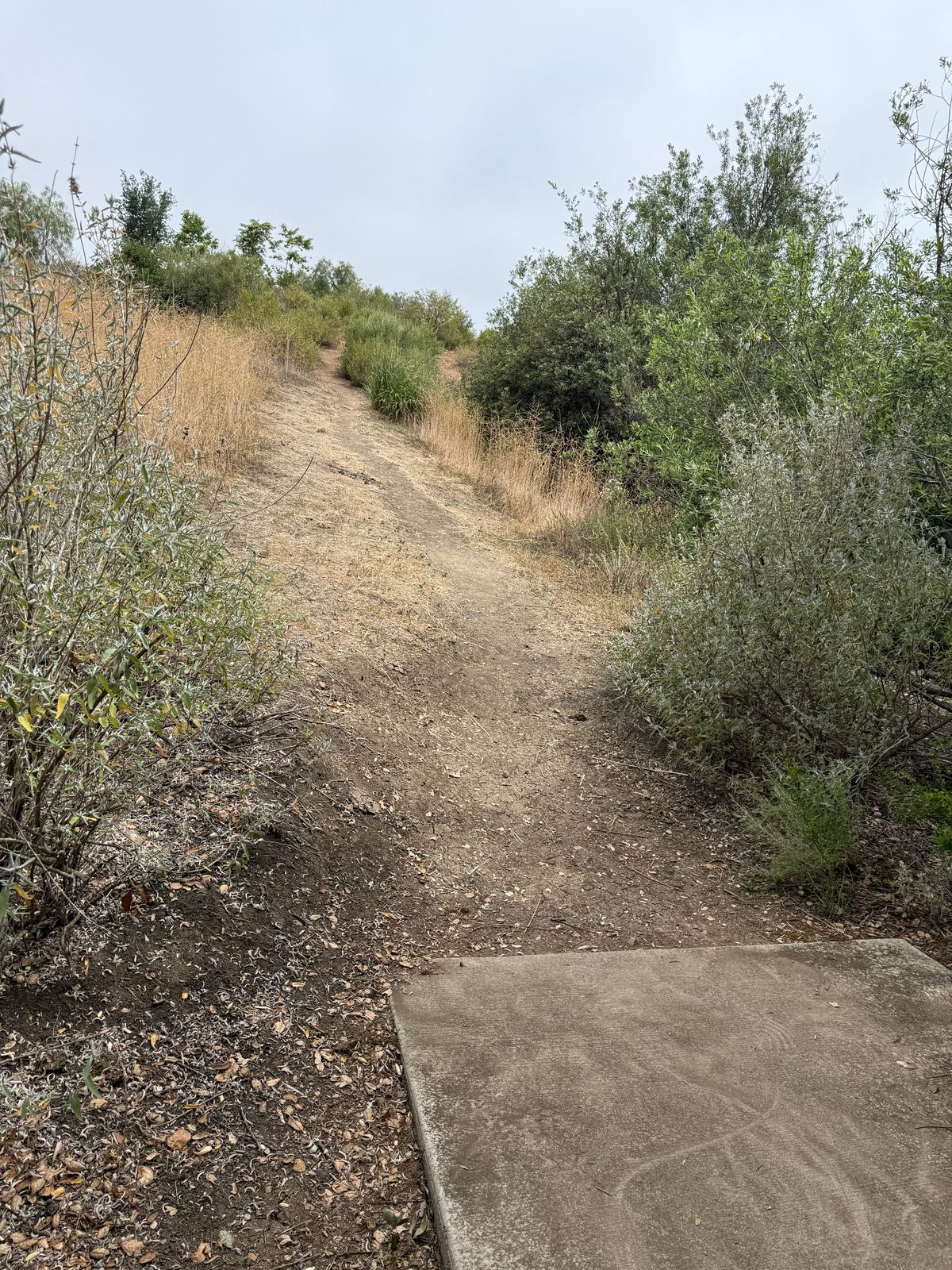 Hole 11 tee