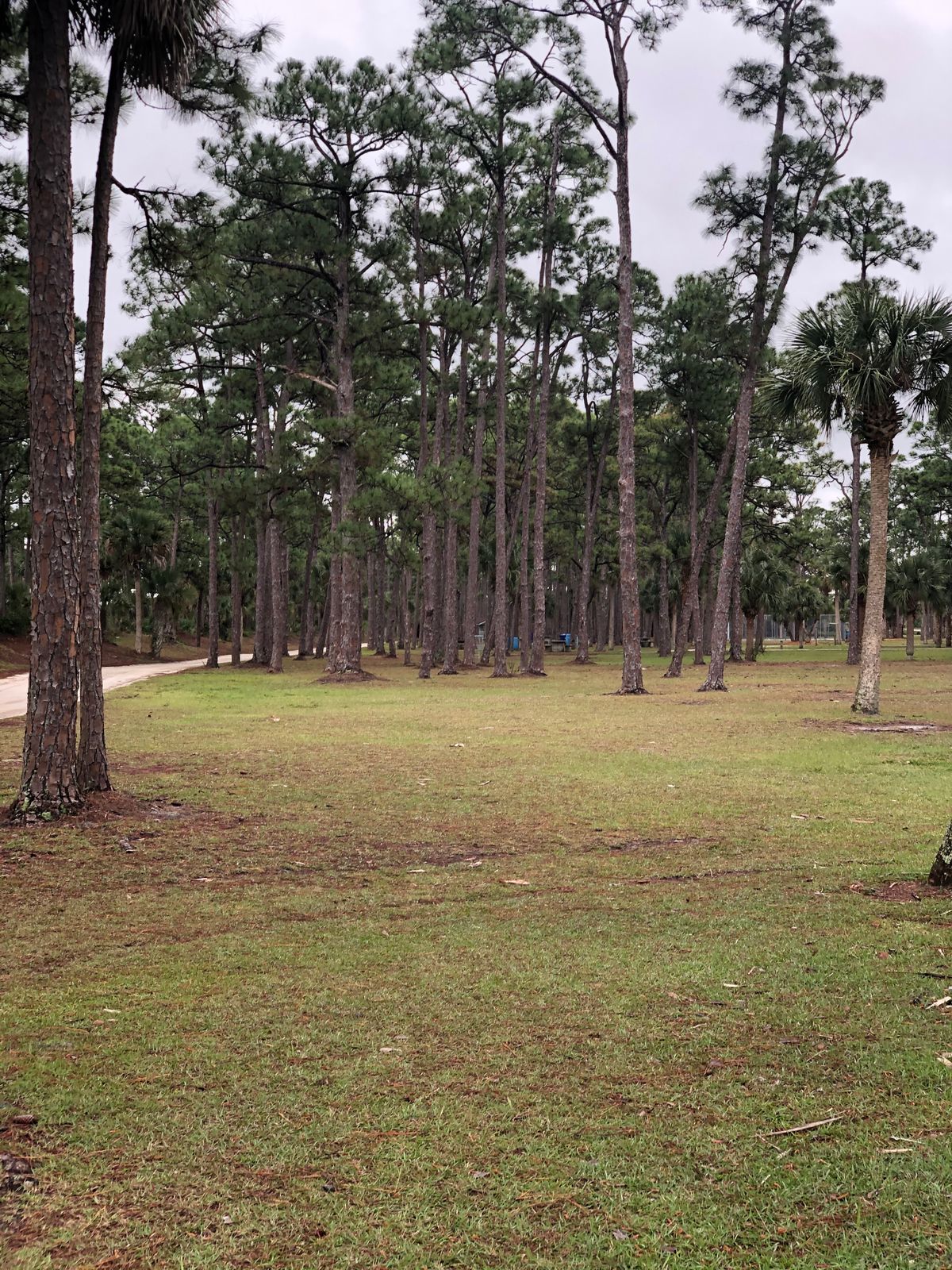 Hole 6