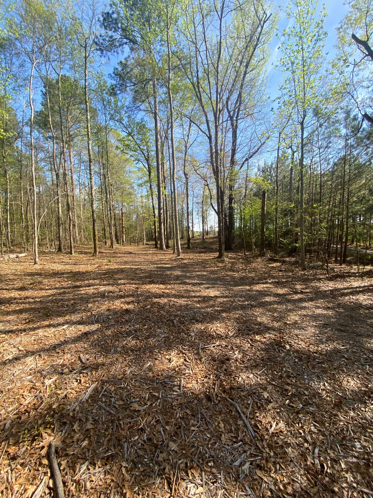 Fairway towards pad