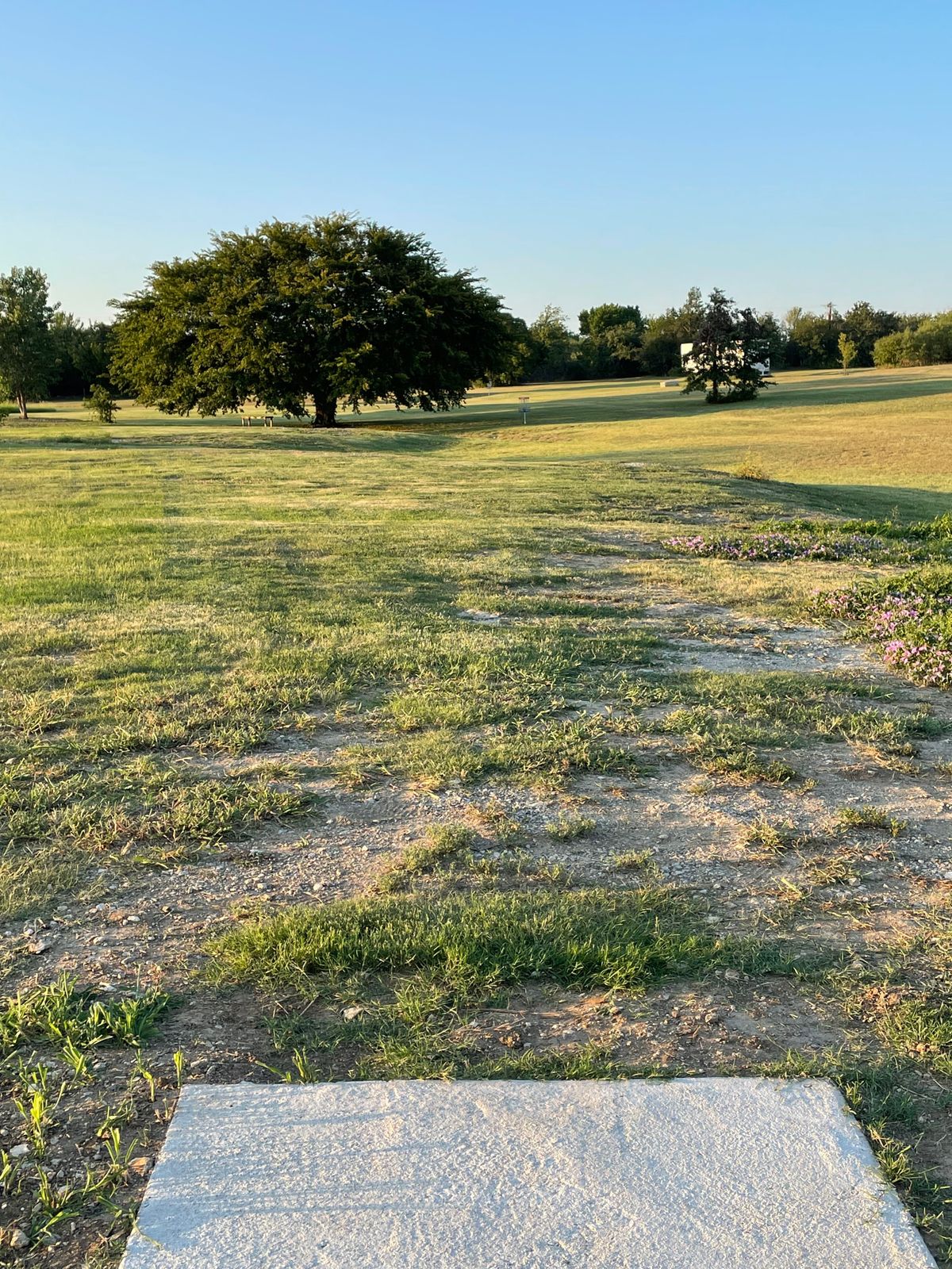 Hole 7