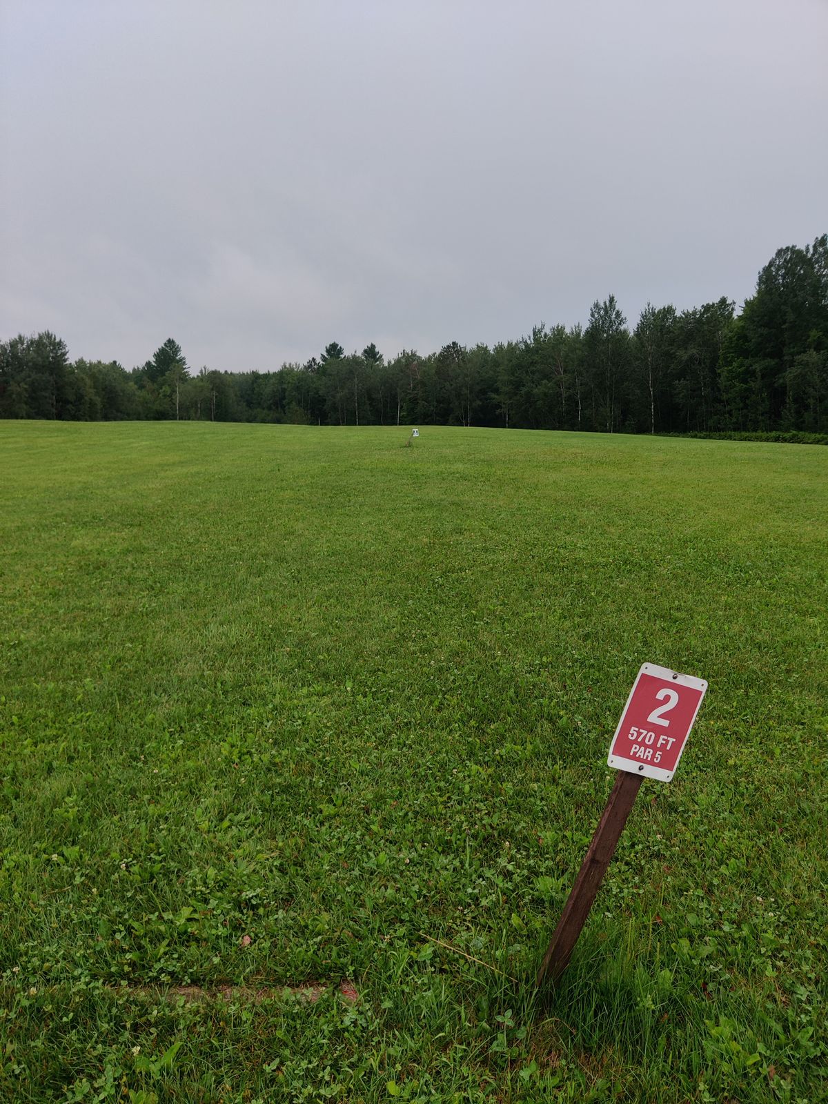 Tee 2
