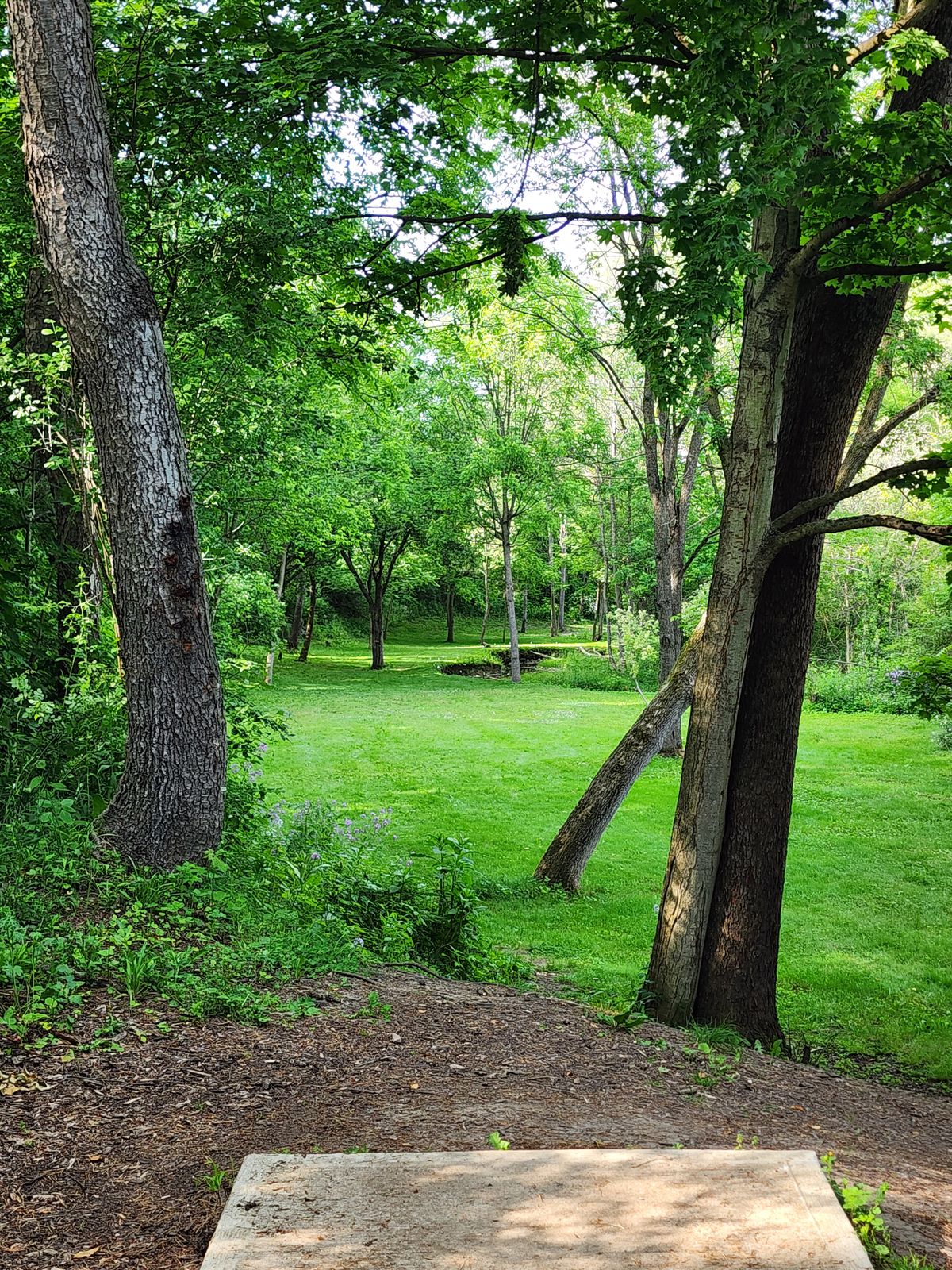 Hole 4, crooked brook lane, Van Buren Central Park disc golf course!
