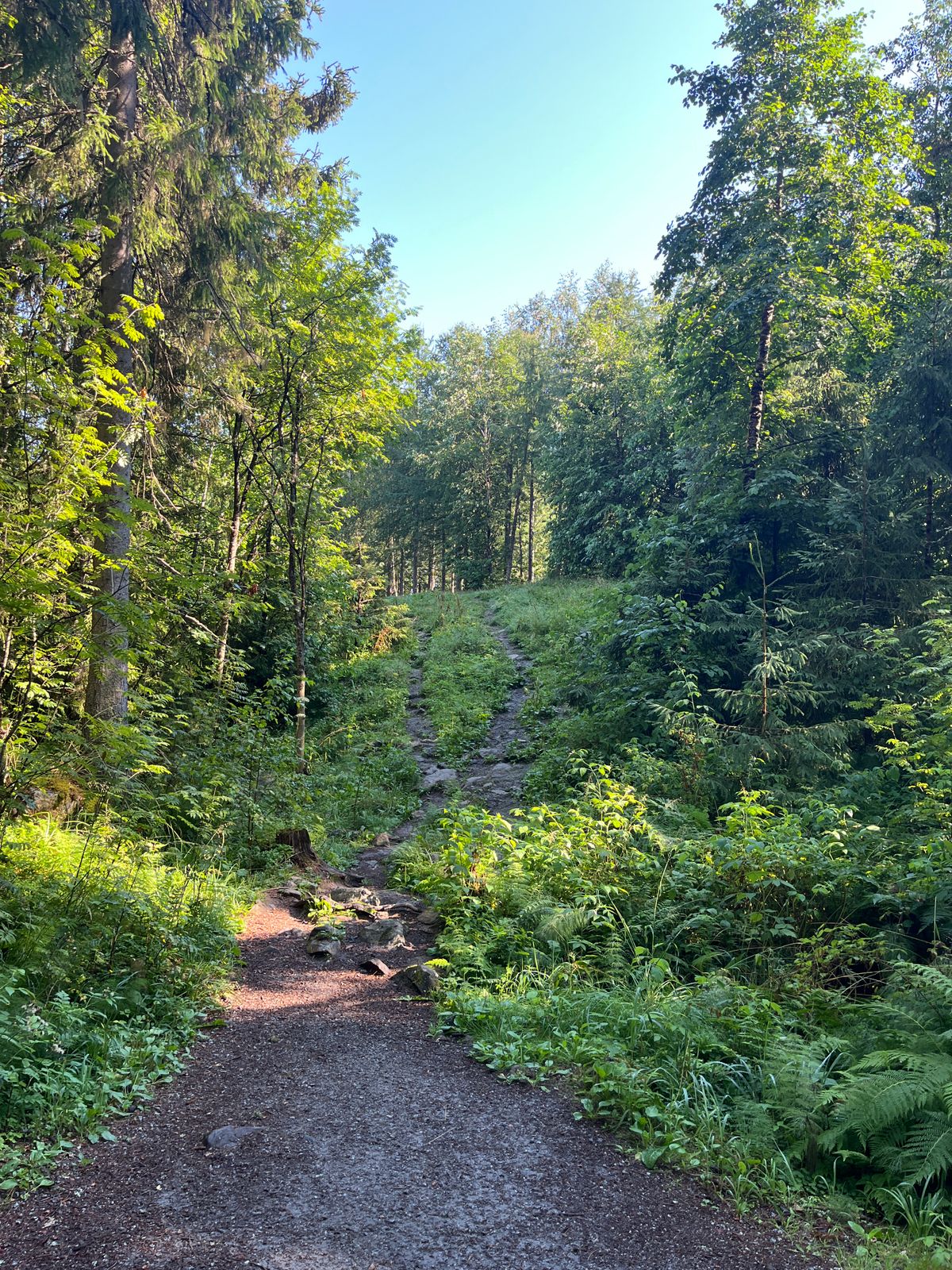 Hole 4, tee
