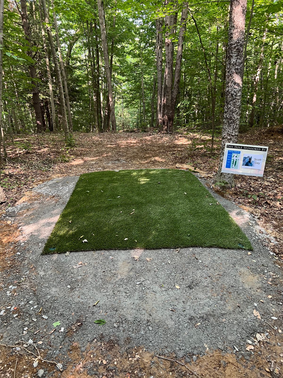 11 blind shot over the crest of the hill, slight bend left as you clear the top of the hill