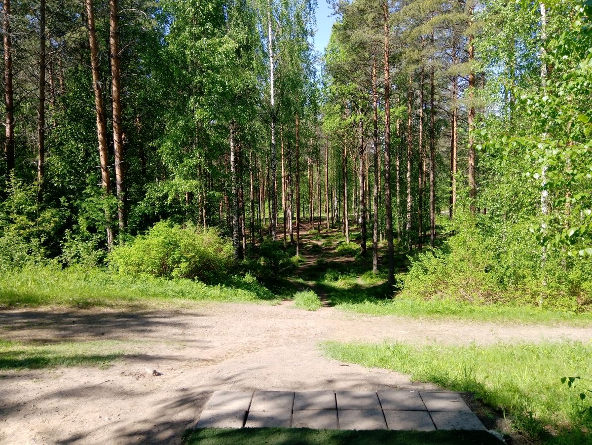 Hole #5 (8.6.2022).