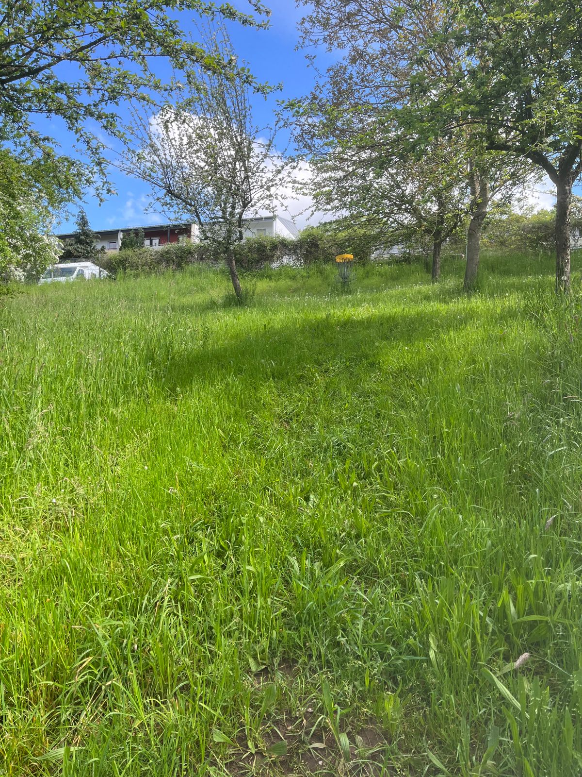 The grass was quite tall.  Waist deep in some places.
