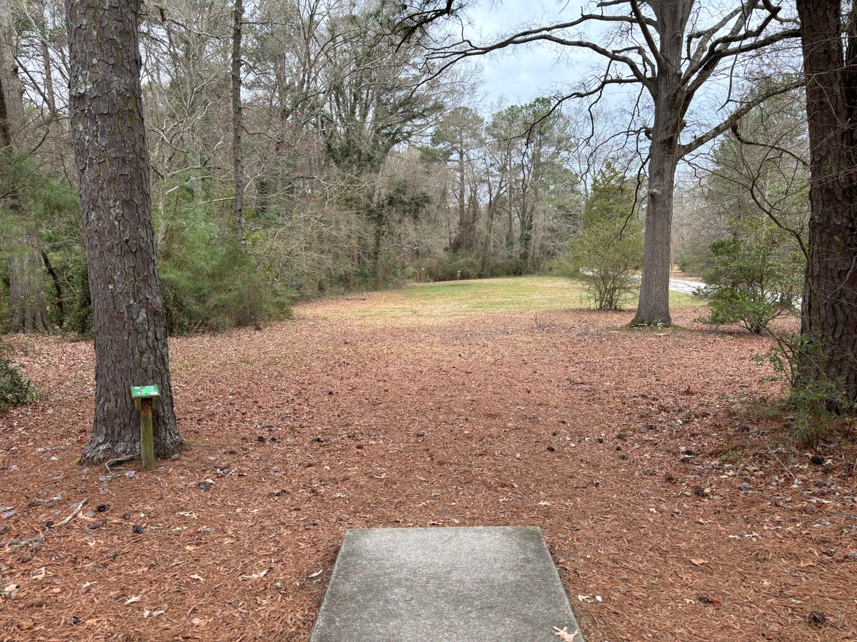 Hole 12 shorts