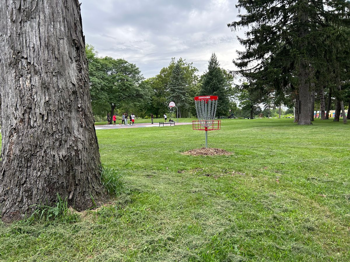 Hole 6 green by the large hickory