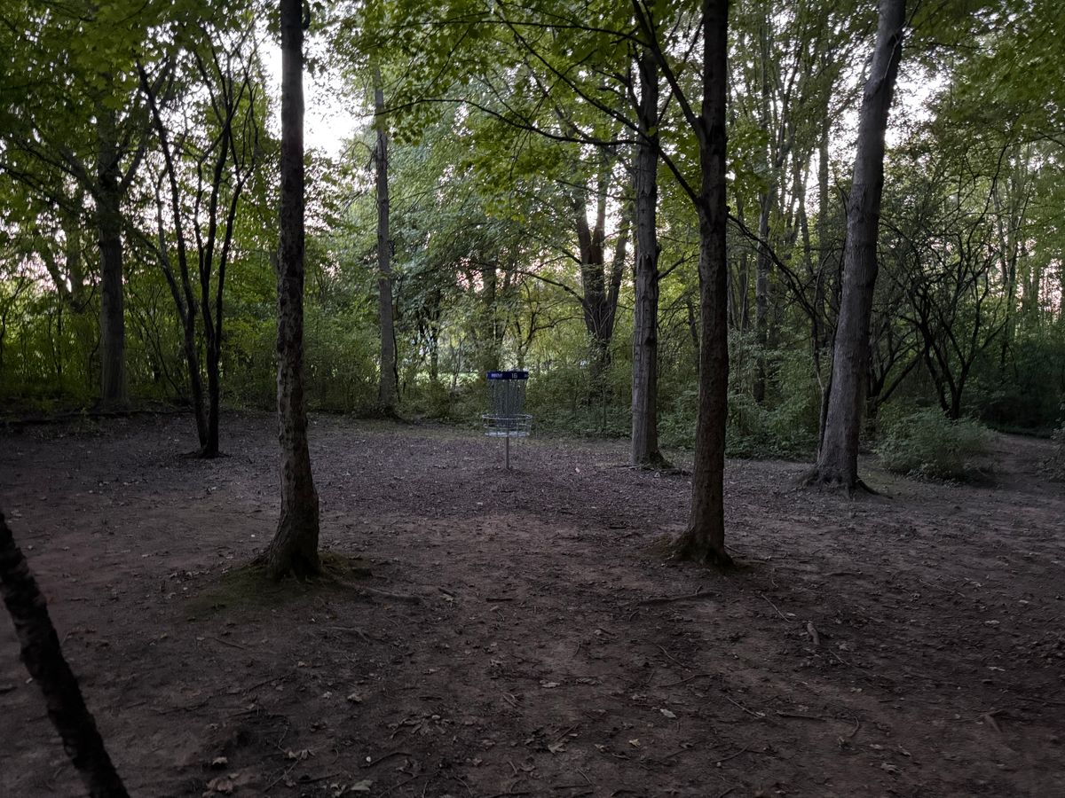 Hole 16 Green